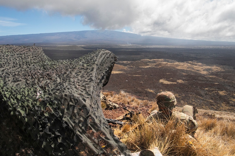 Look out: Marines, Soldiers conduct artillery forward observation, PTA