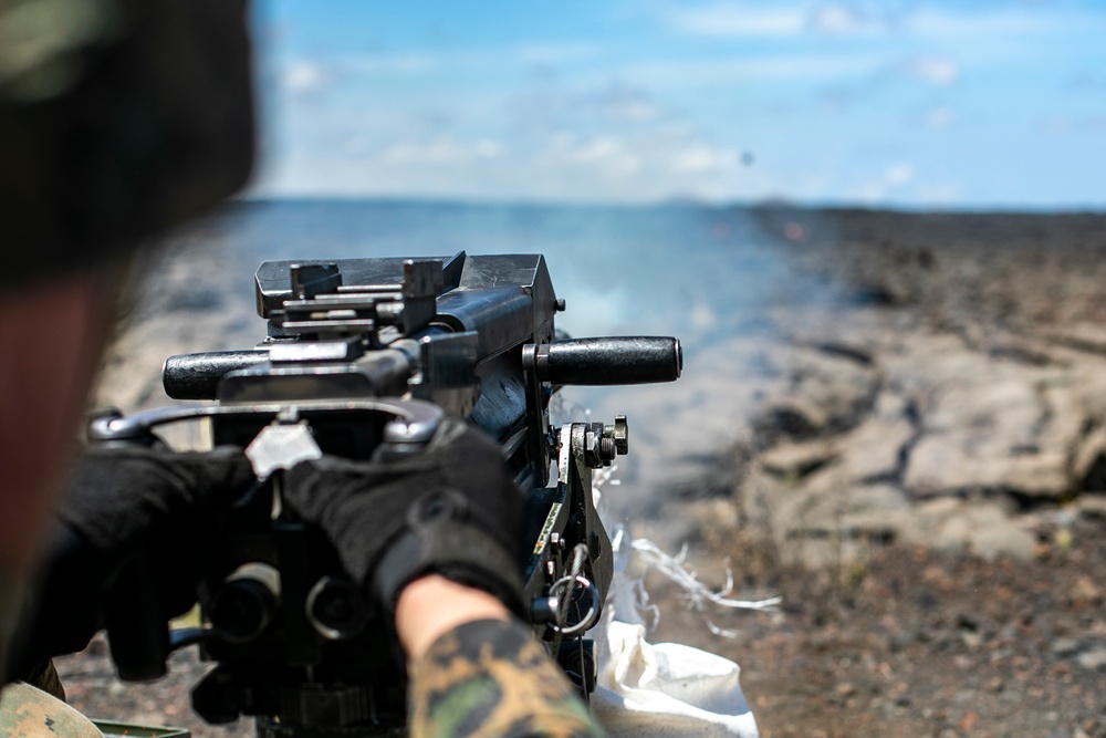 Alpha Battery, 1/12 conducts MK-19 range, PTA