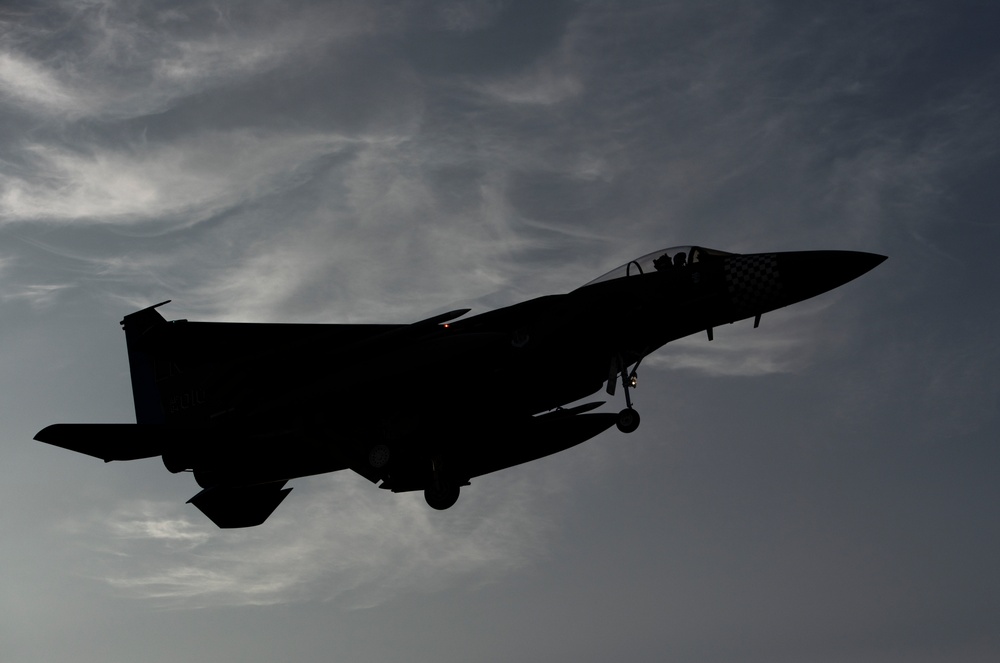 Eagles in the evening