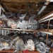 Coast Guard, RBDF seize more than 12,000 lbs. of illegal catch off Bahamas