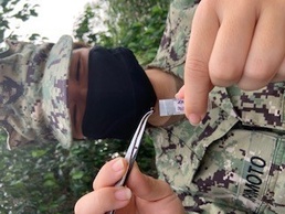 Navy and Air Force Joint Tick-Collecting in the Land of the Midnight Sun