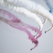 Fly-past marks 73 years of airpower and partnership