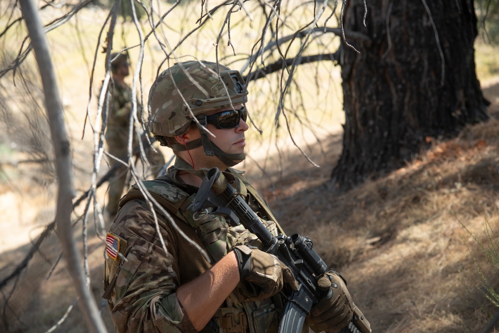 184th Infantry conducts squad live fire