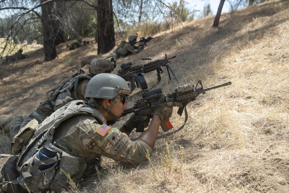 184th Infantry conducts squad live fire