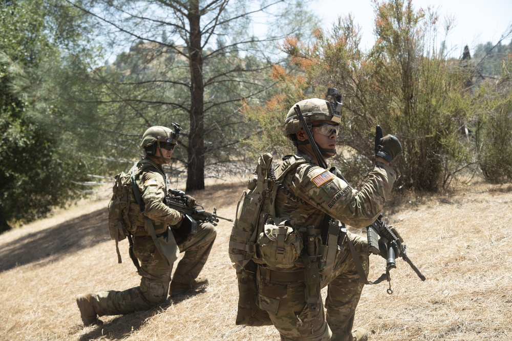 184th Infantry conducts squad live fire