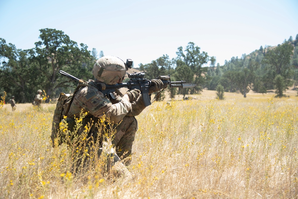 184th Infantry conducts squad live fire