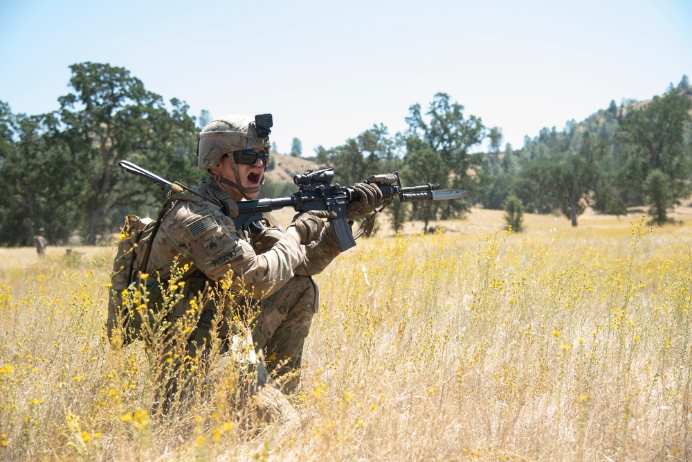 184th Infantry conducts squad live fire