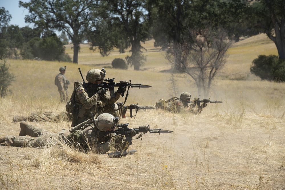 184th Infantry conducts squad live fire