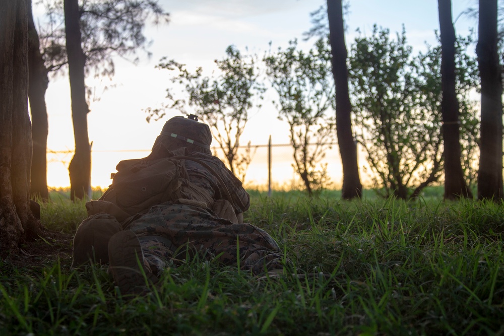 Echo Company, BLT 2/4, 31st MEU conducts Helo Raid