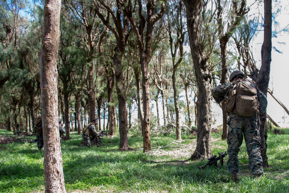 Echo Company, BLT 2/4, 31st MEU conducts Helo Raid