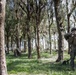 Echo Company, BLT 2/4, 31st MEU conducts Helo Raid