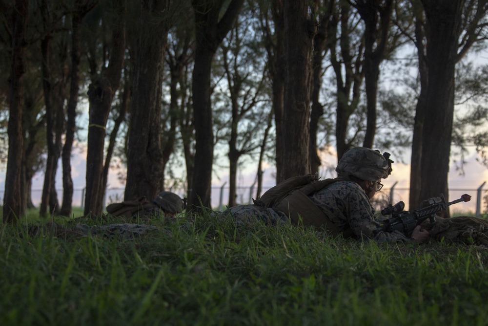Echo Company, BLT 2/4, 31st MEU conducts Helo Raid