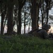 Echo Company, BLT 2/4, 31st MEU conducts Helo Raid