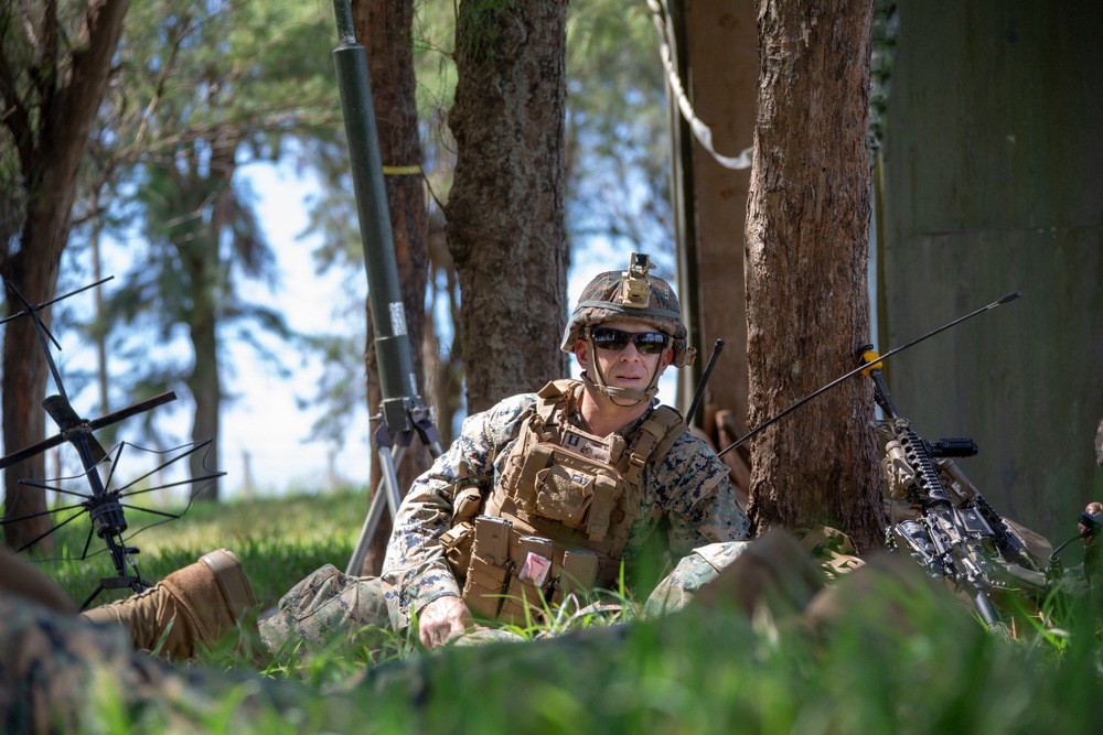 Echo Company, BLT 2/4, 31st MEU conducts Helo Raid