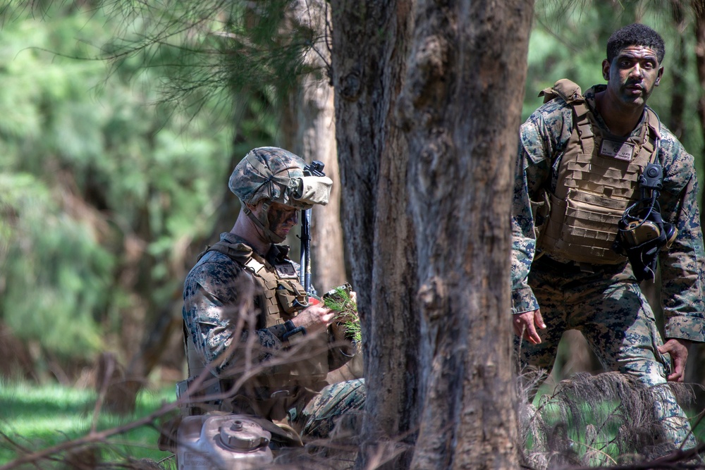 Echo Company, BLT 2/4, 31st MEU conducts Helo Raid