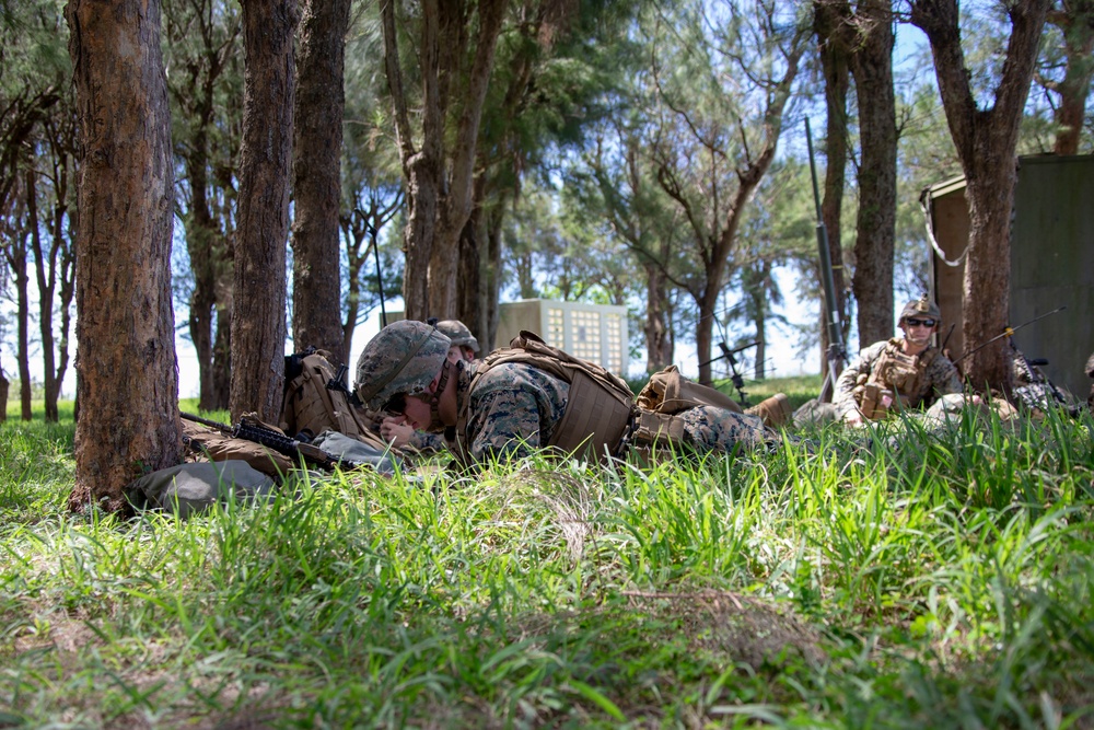 Echo Company, BLT 2/4, 31st MEU conducts Helo Raid
