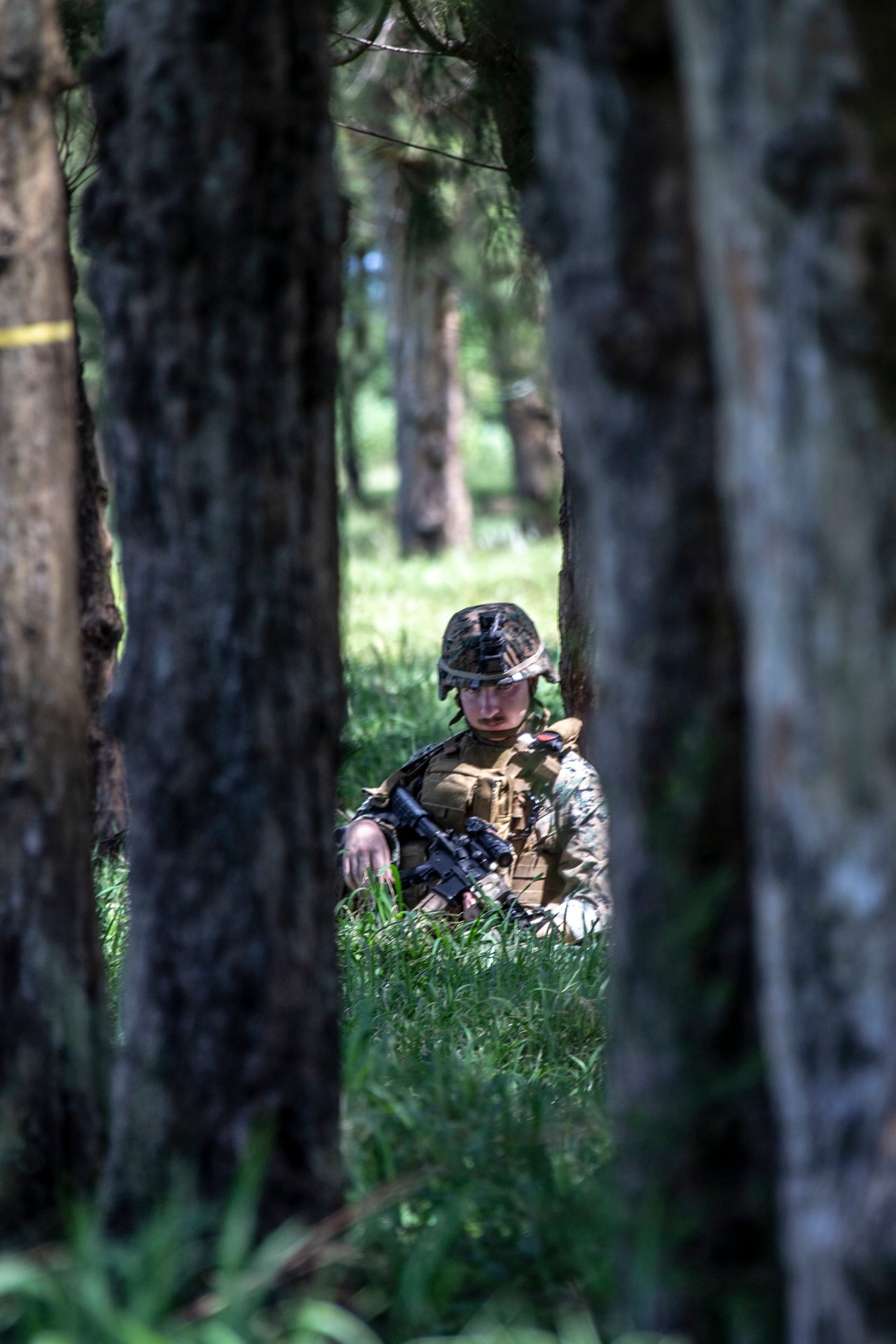 Echo Company, BLT 2/4, 31st MEU conducts Helo Raid