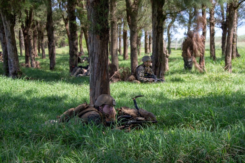 Echo Company, BLT 2/4, 31st MEU conducts Helo Raid