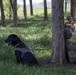 Echo Company, BLT 2/4, 31st MEU conducts Helo Raid
