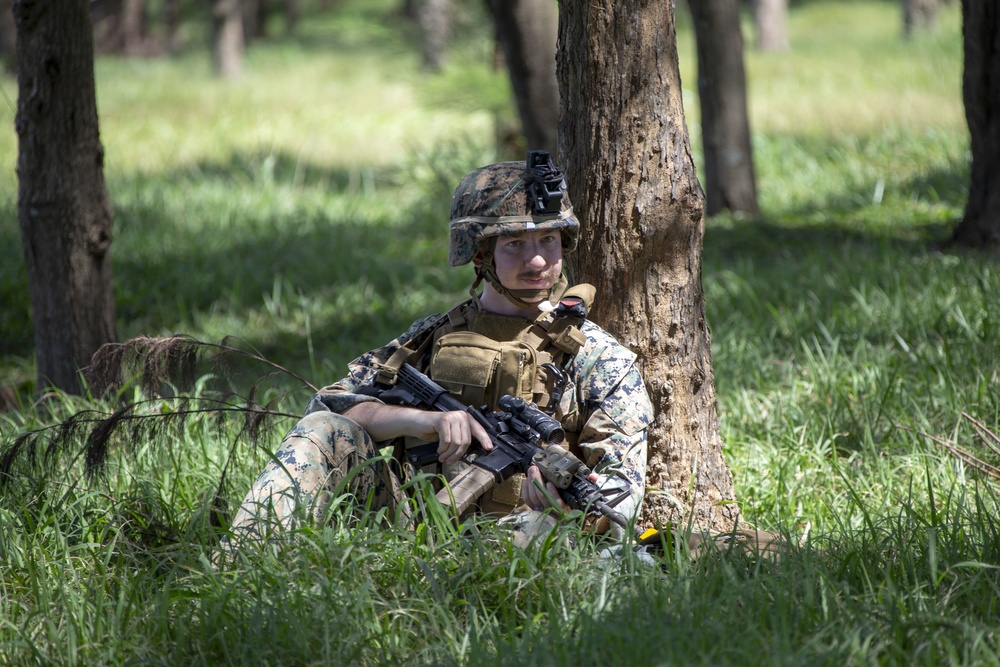 Echo Company, BLT 2/4, 31st MEU conducts Helo Raid