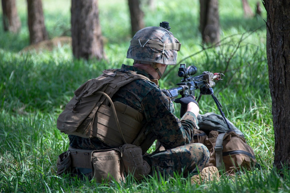 Echo Company, BLT 2/4, 31st MEU conducts Helo Raid