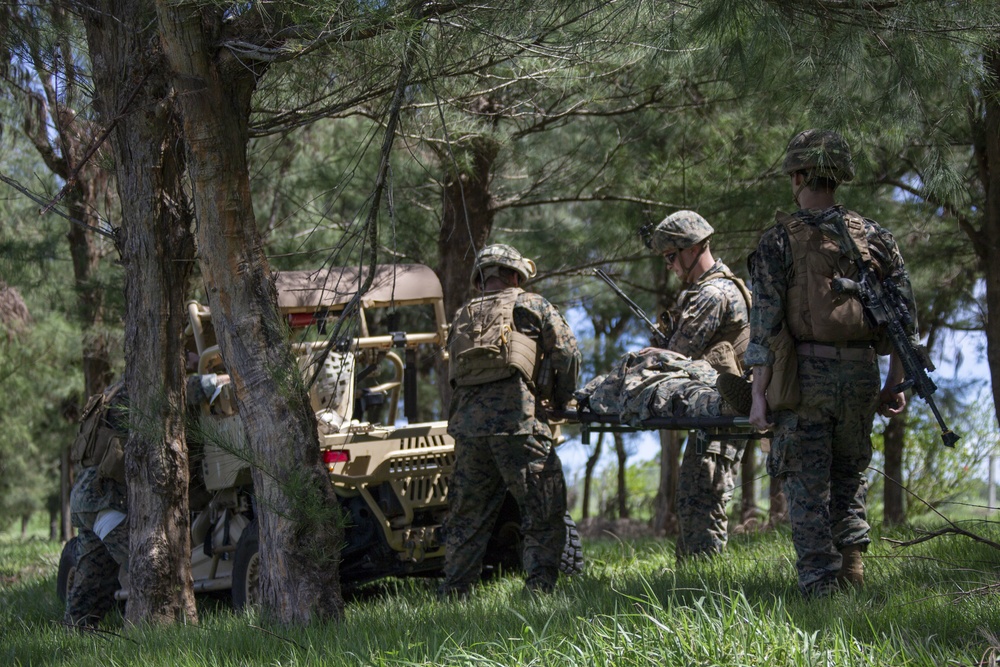 Echo Company, BLT 2/4, 31st MEU conducts Helo Raid