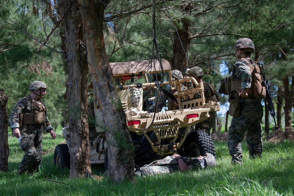 Echo Company, BLT 2/4, 31st MEU conducts Helo Raid