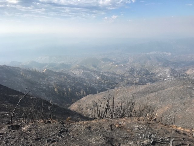 Fort Hunter Liggett keeps Dolan Fire at bay