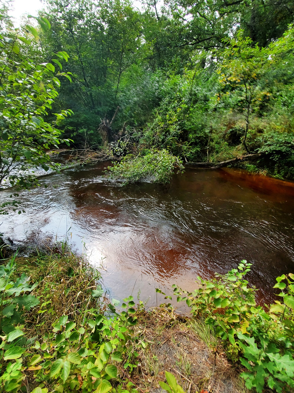 Fort McCoy's Pine View Recreation Area