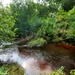 Fort McCoy's Pine View Recreation Area