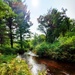 Fort McCoy's Pine View Recreation Area