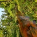 Fort McCoy's Pine View Recreation Area