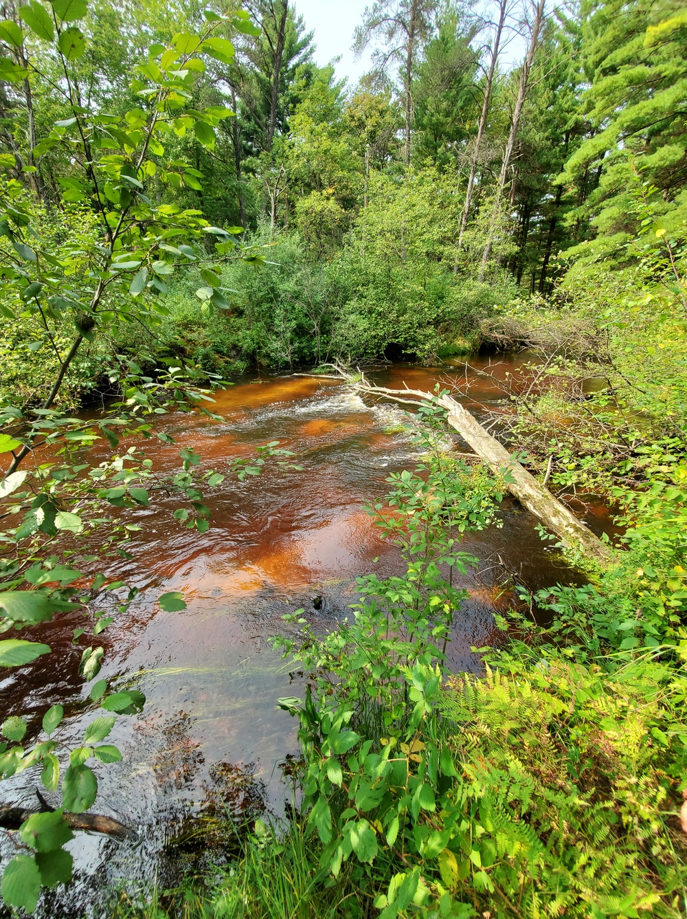 Fort McCoy's Pine View Recreation Area