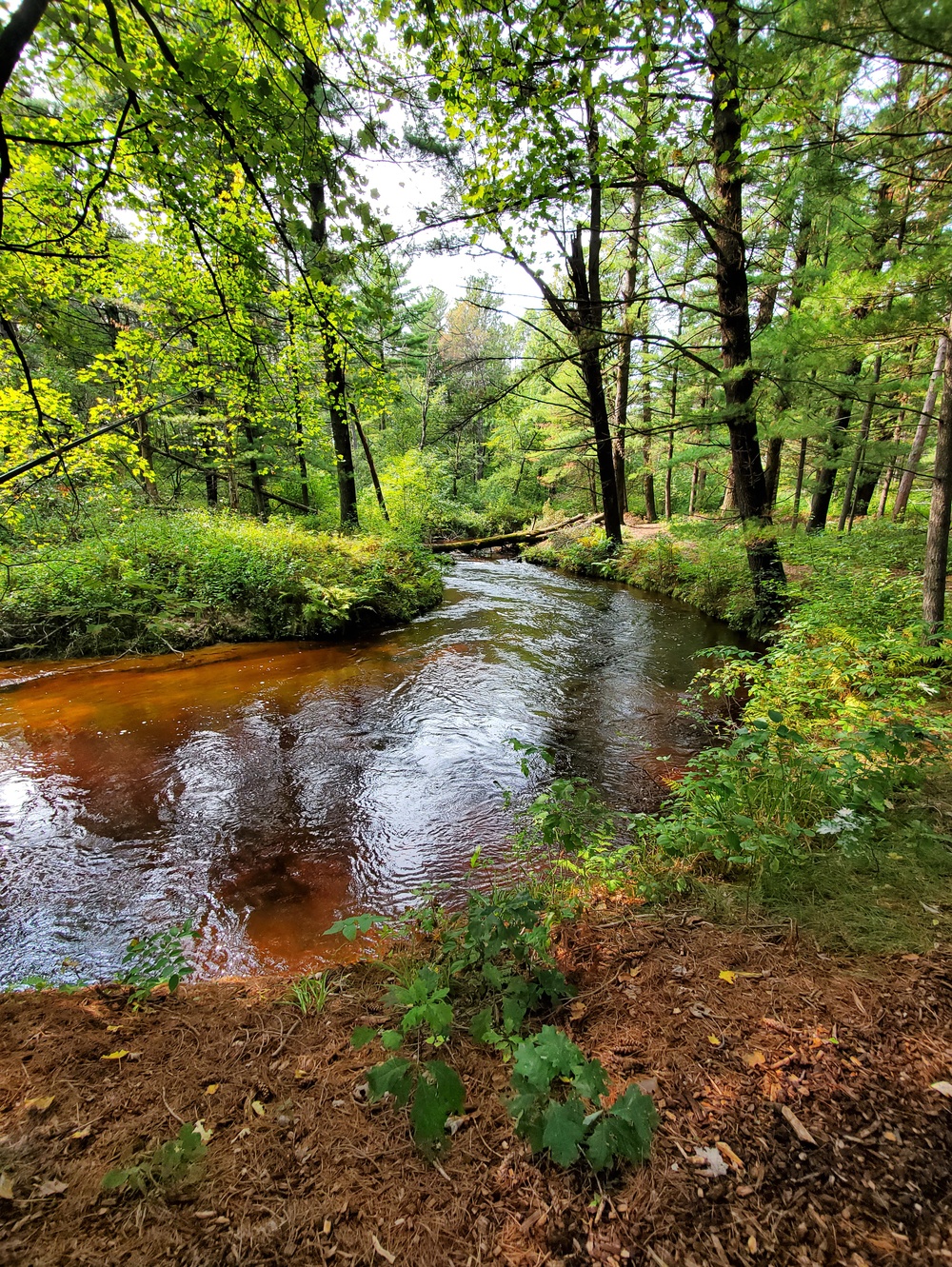 Fort McCoy's Pine View Recreation Area