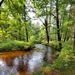 Fort McCoy's Pine View Recreation Area