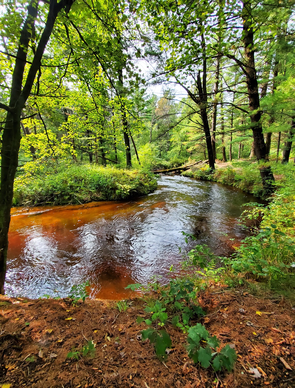Fort McCoy's Pine View Recreation Area