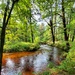 Fort McCoy's Pine View Recreation Area