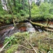 Fort McCoy's Pine View Recreation Area