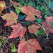 Fort McCoy's Pine View Recreation Area
