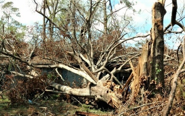 Corps, Samaritan's Purse go above and beyond for Laura survivor