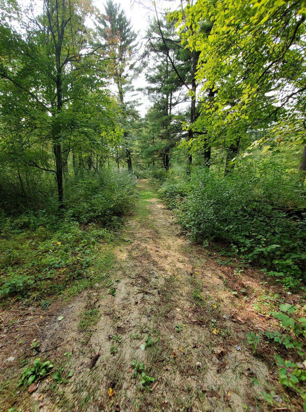 Fort McCoy's Pine View Recreation Area