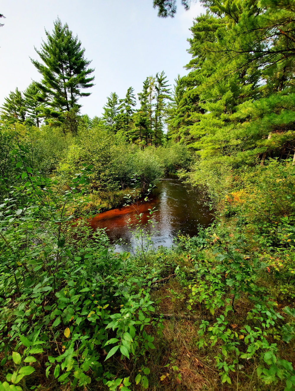 Fort McCoy's Pine View Recreation Area