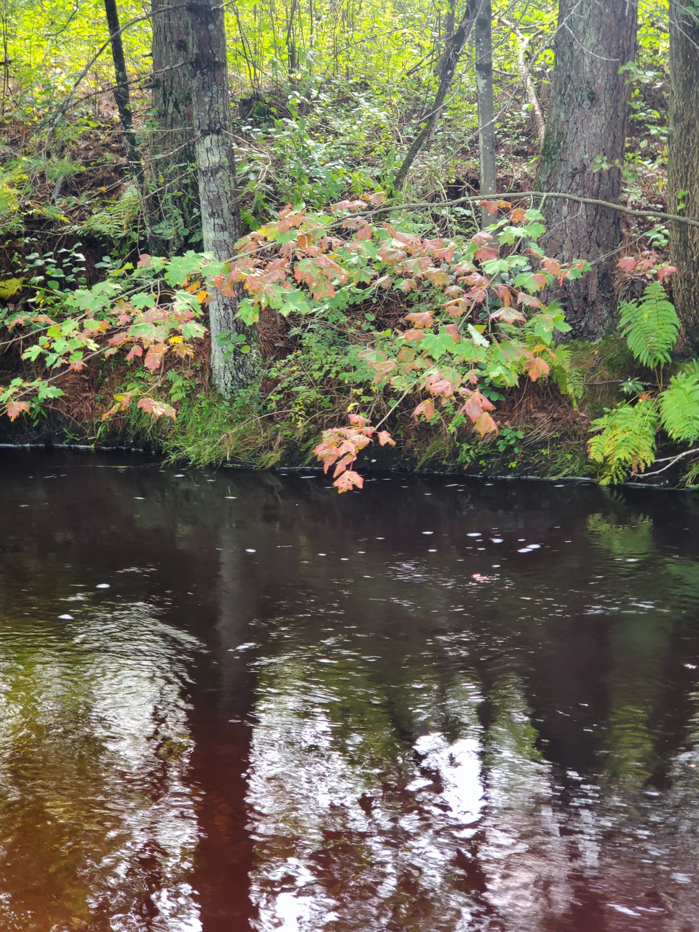Fort McCoy's Pine View Recreation Area