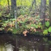 Fort McCoy's Pine View Recreation Area