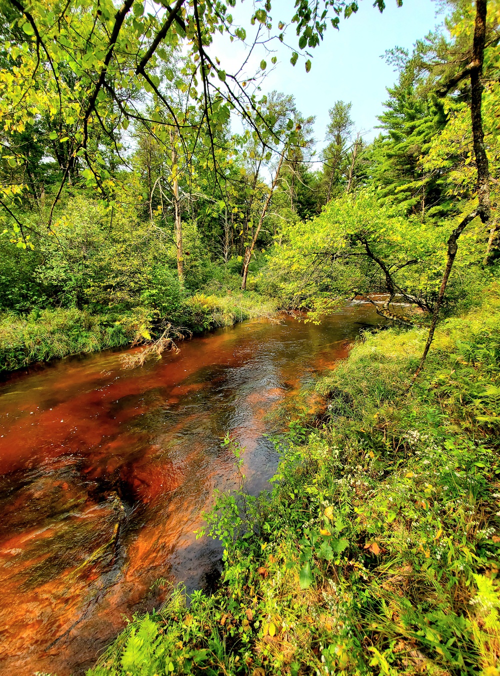 Fort McCoy's Pine View Recreation Area