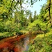 Fort McCoy's Pine View Recreation Area