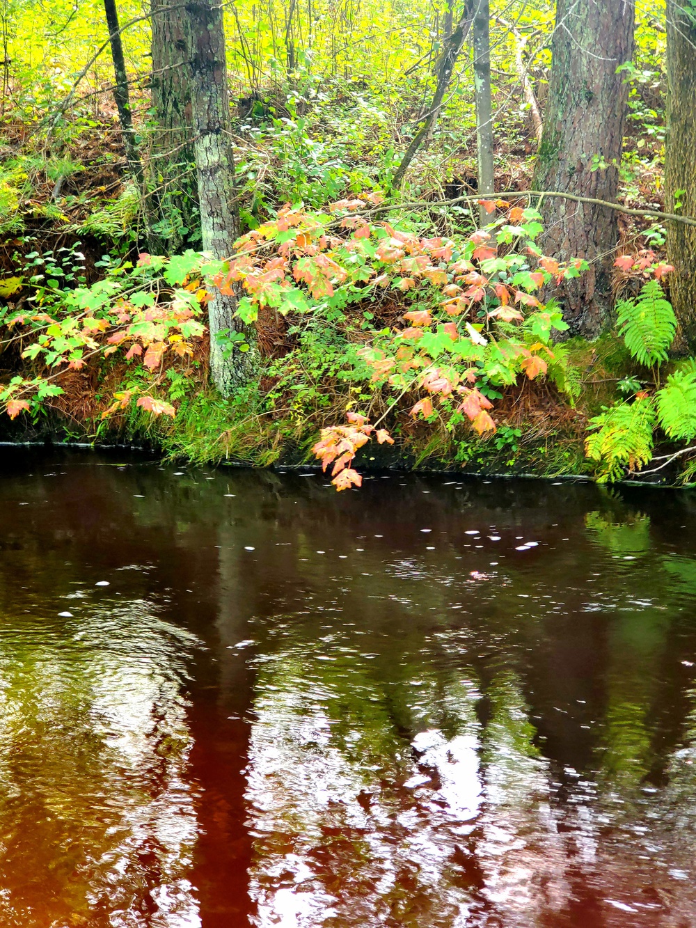 Fort McCoy's Pine View Recreation Area