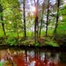 Fort McCoy's Pine View Recreation Area