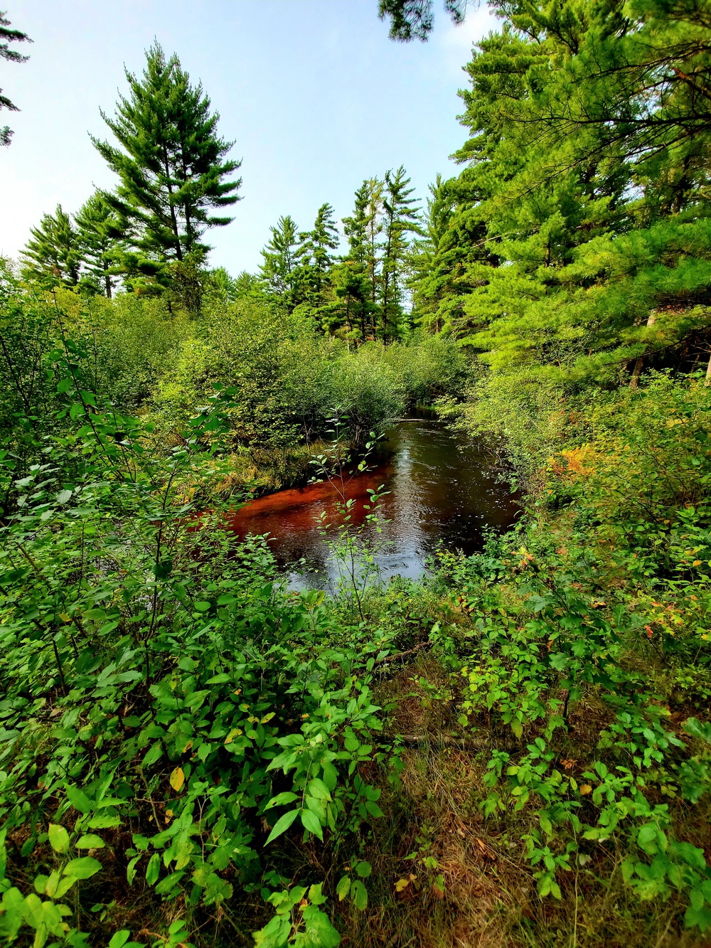 Fort McCoy's Pine View Recreation Area
