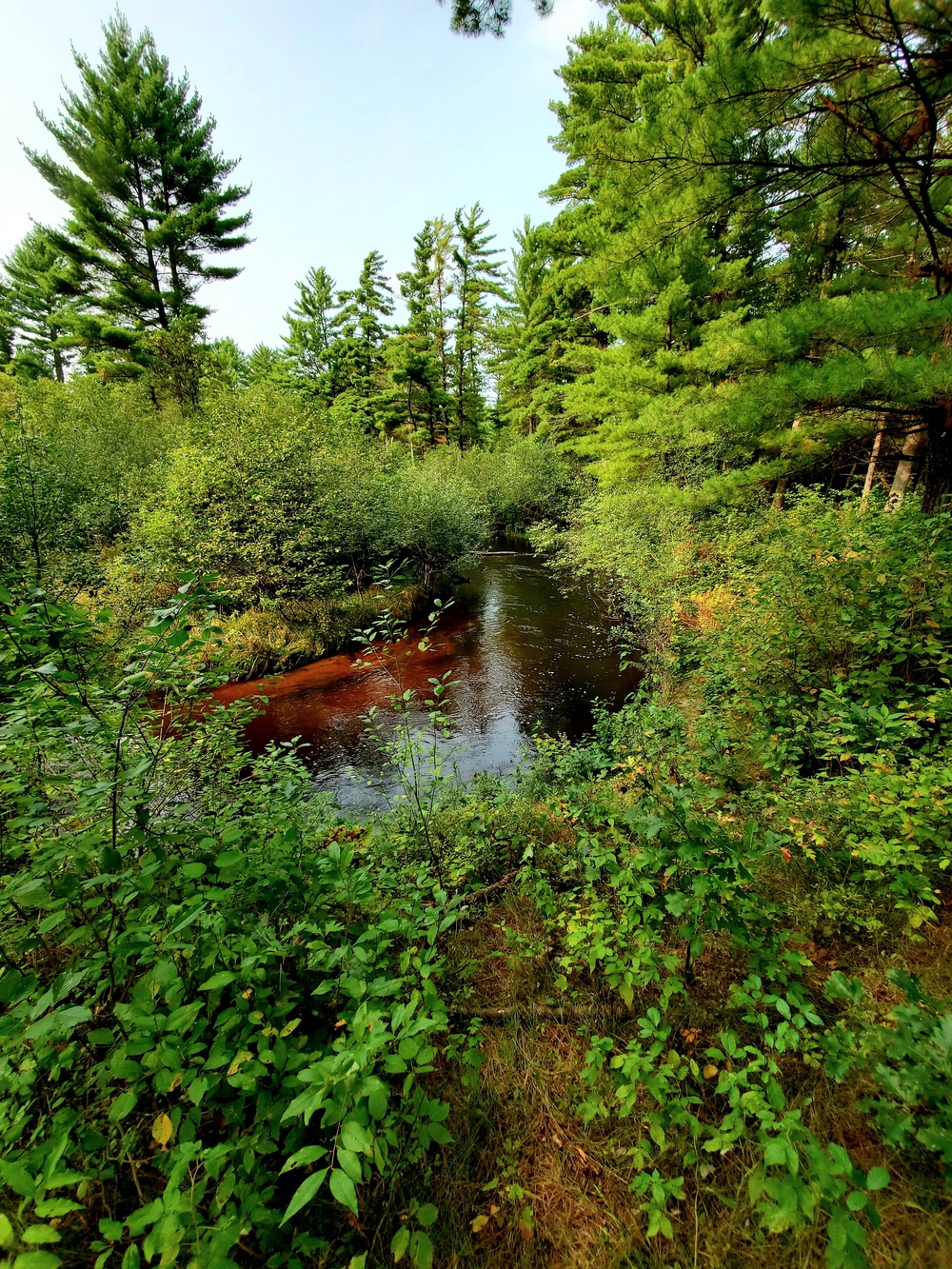 Fort McCoy's Pine View Recreation Area